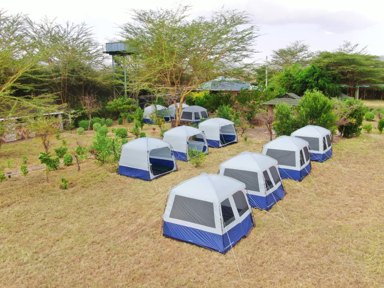 Aerial view of the camping field with family tents pitched in rows