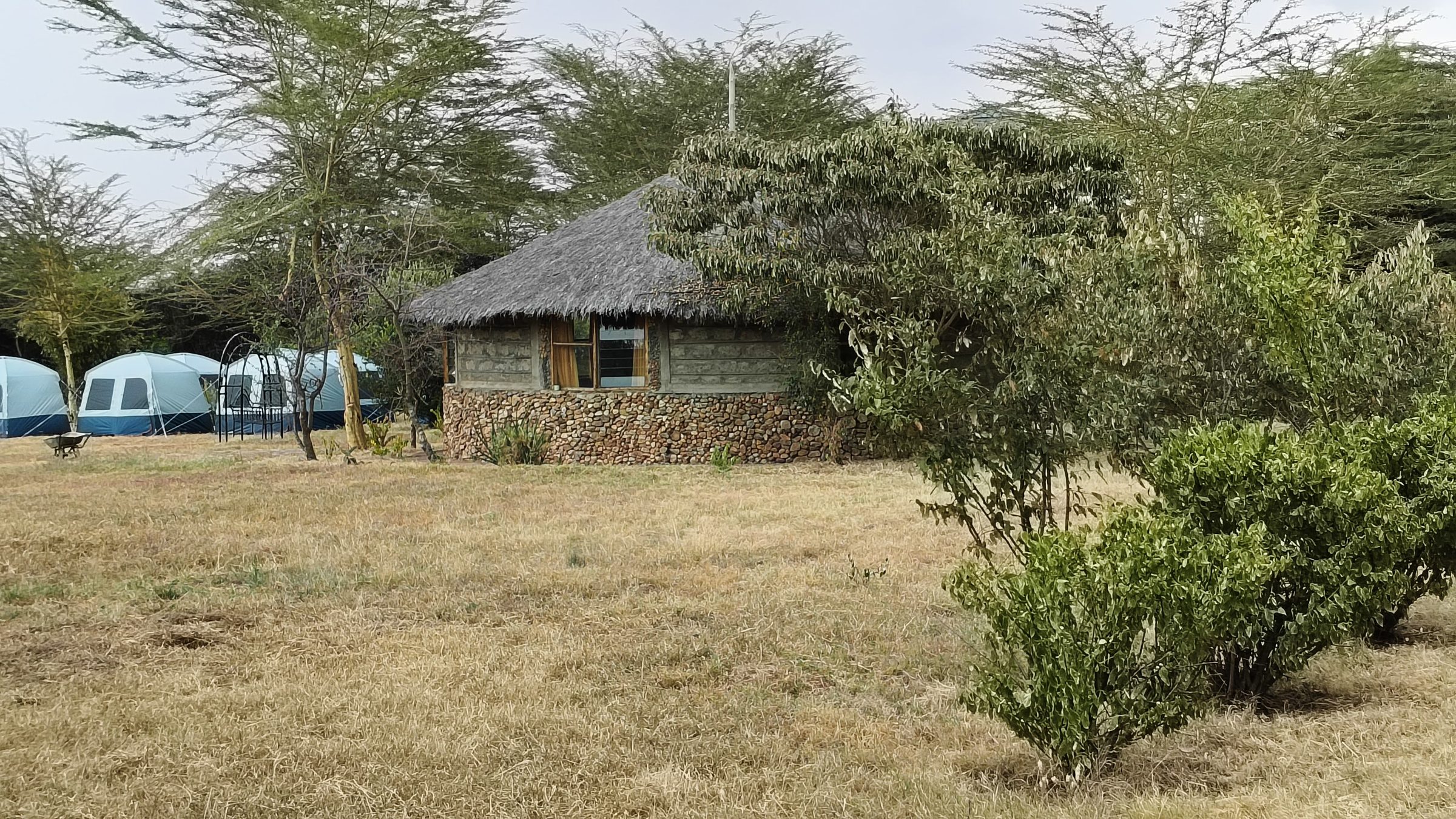 A thatched Maasai manyatta beside pitched safari tents