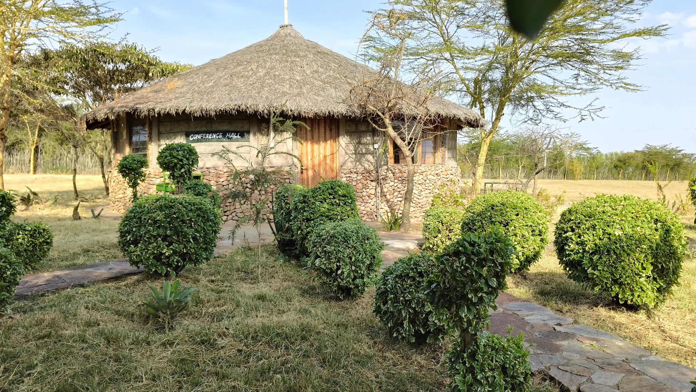 The Maasai eco manyatta set in a clipped green garden